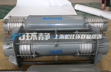 上海環(huán)靜向千噸級煤氣化項(xiàng)目供應(yīng)補(bǔ)償器